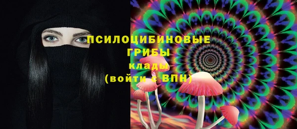 mdpv Горняк
