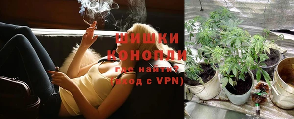 дживик Горнозаводск