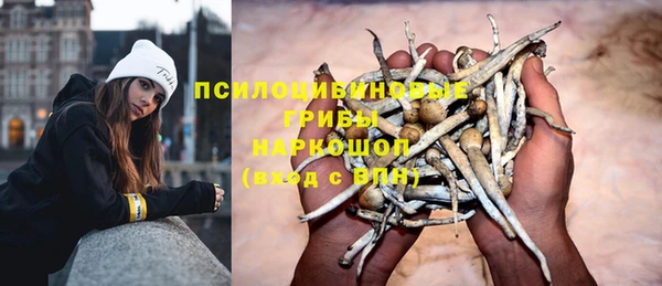 дживик Горнозаводск